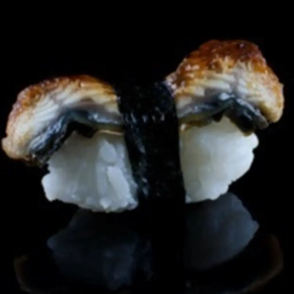 Unagi Sushi